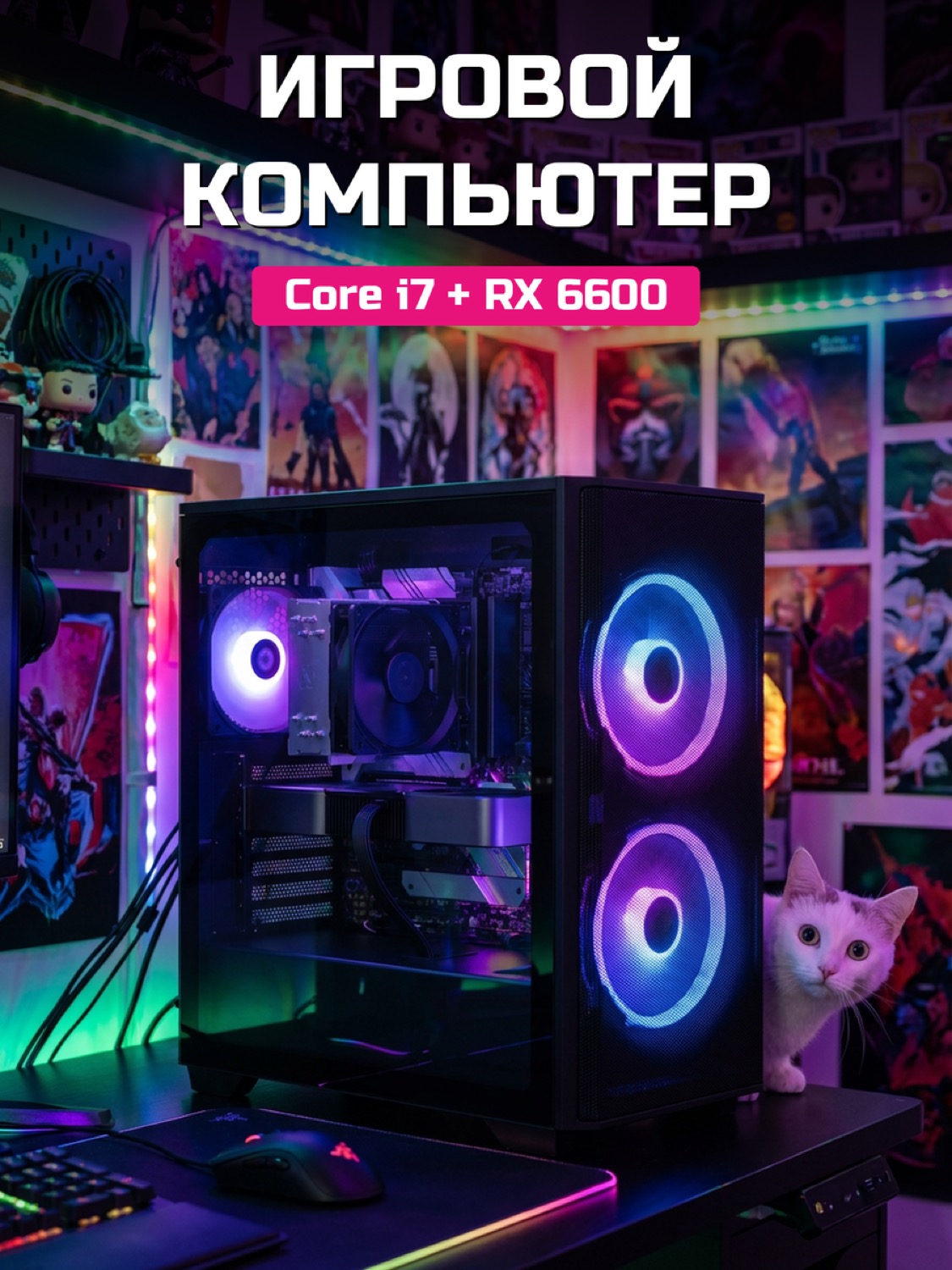 Xeon E5-2650 v2 RX 6600 8 GB