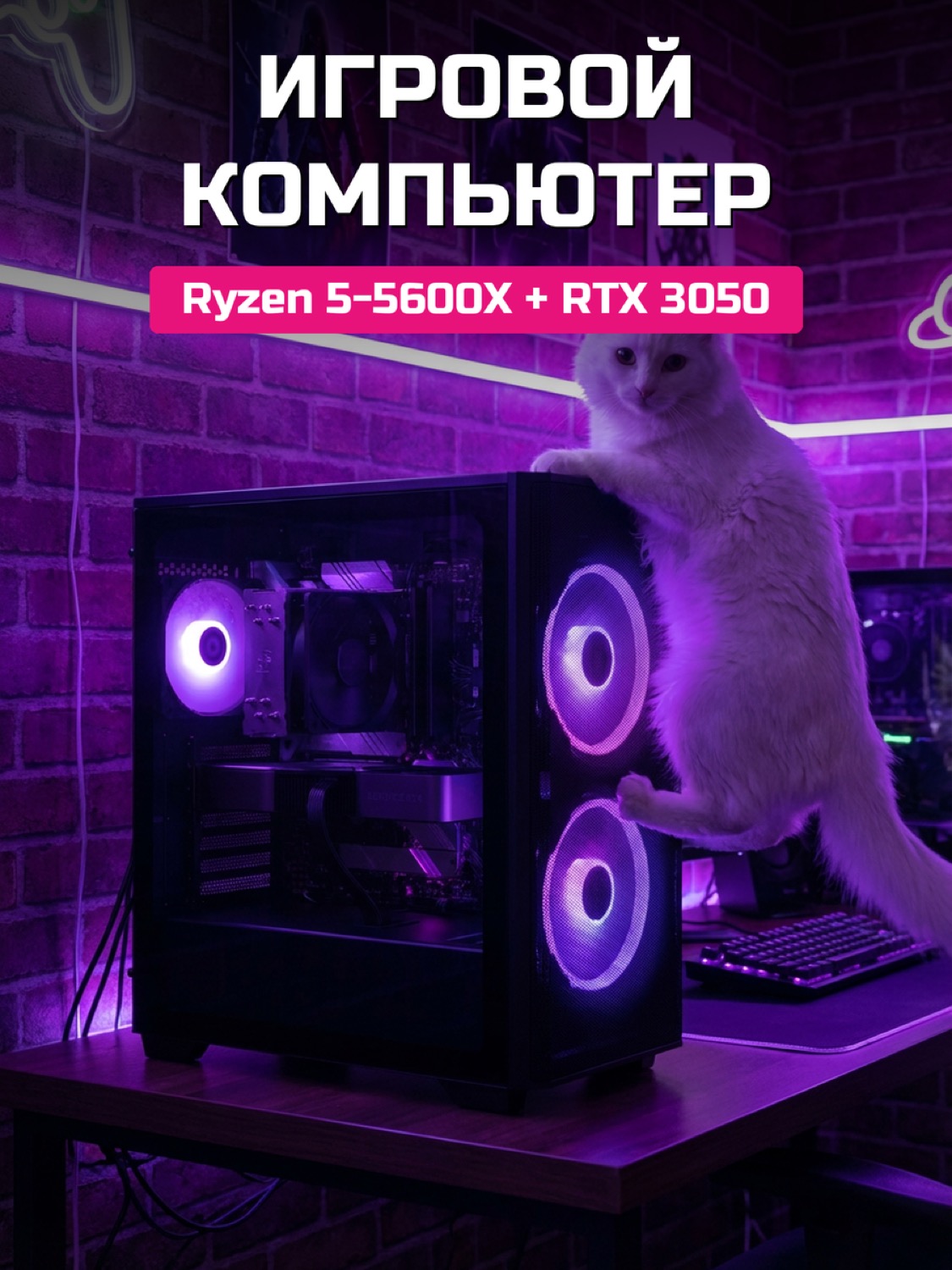 Ryzen 5 5600X RTX 3050 8 GB